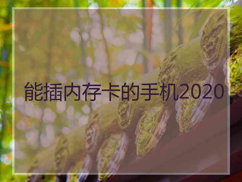 能插内存卡的手机2020