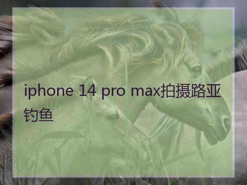 iphone 14 pro max拍摄路亚钓鱼