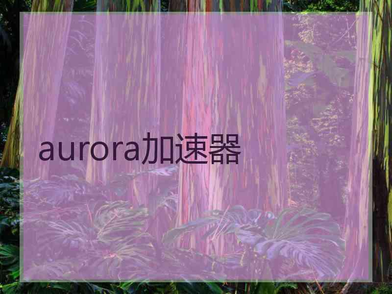 aurora加速器