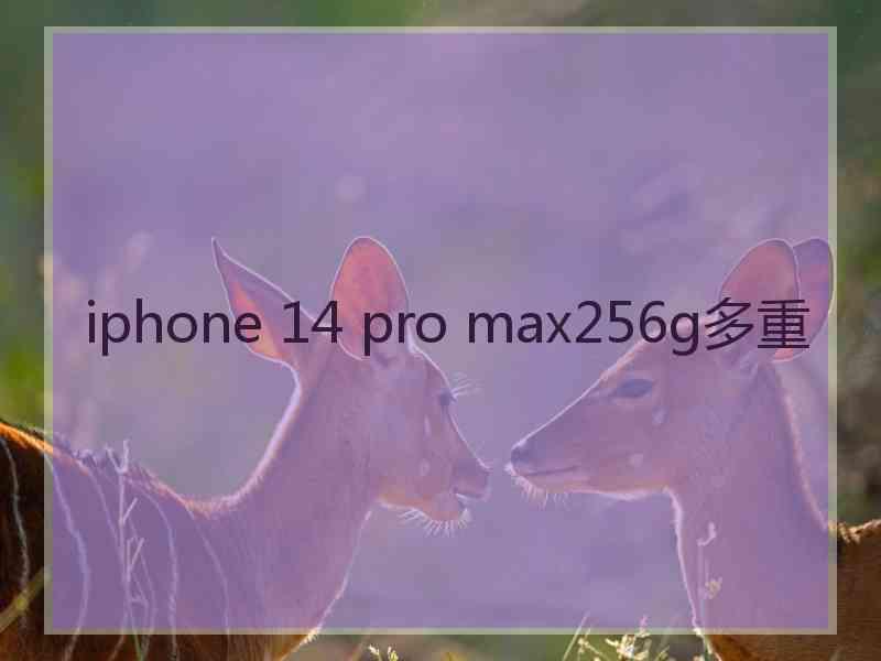 iphone 14 pro max256g多重