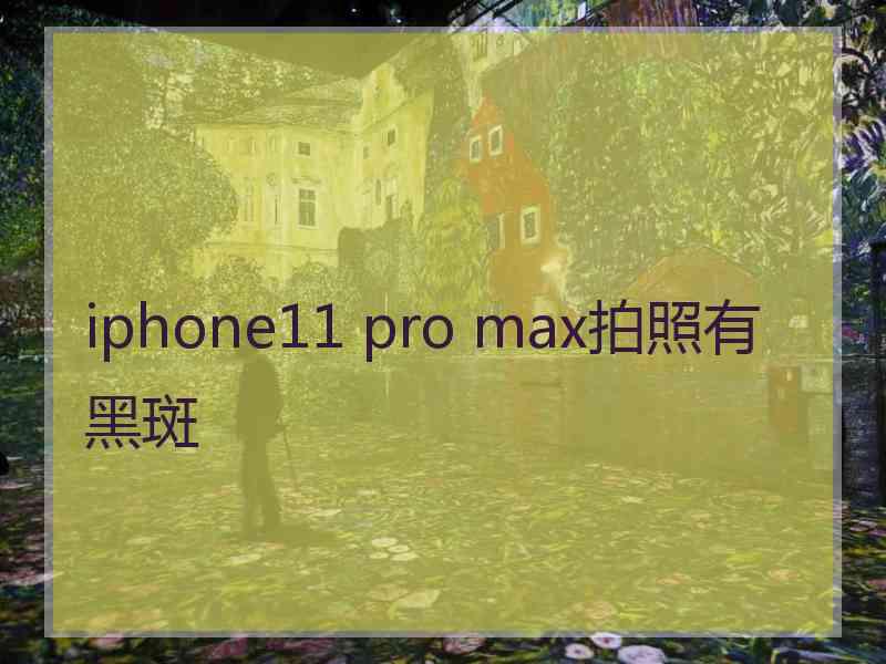 iphone11 pro max拍照有黑斑