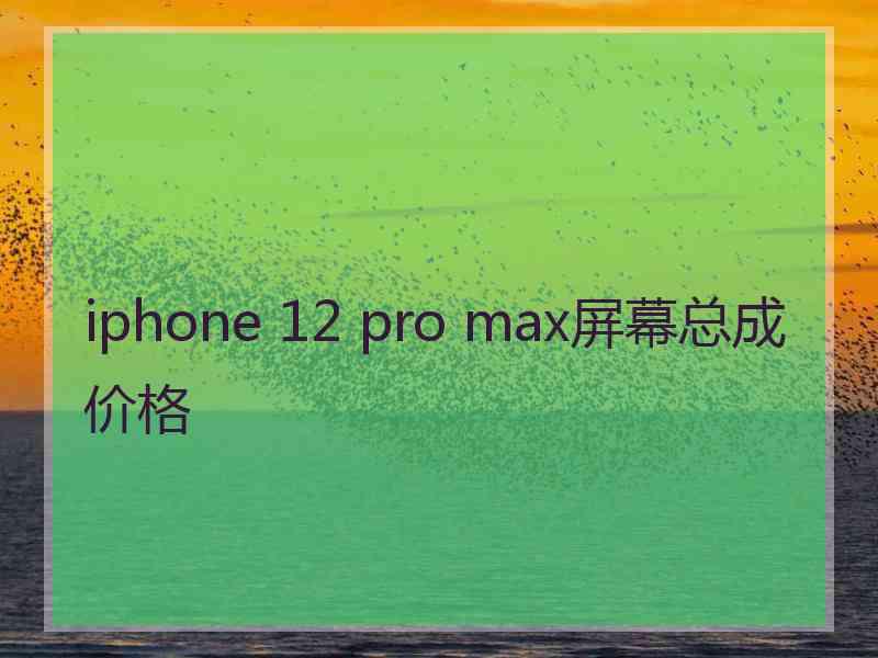 iphone 12 pro max屏幕总成价格