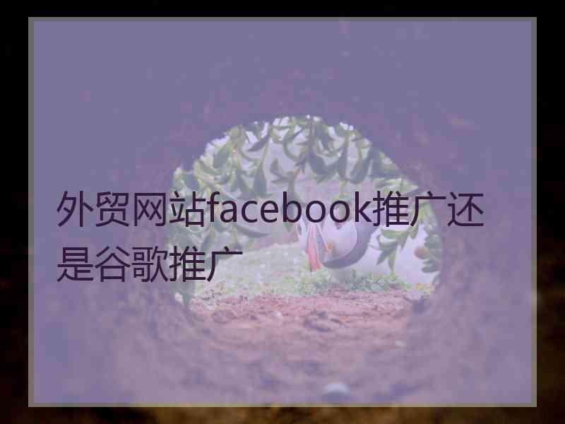 外贸网站facebook推广还是谷歌推广