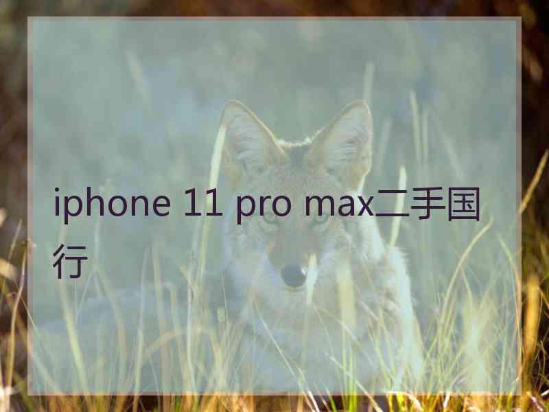 iphone 11 pro max二手国行