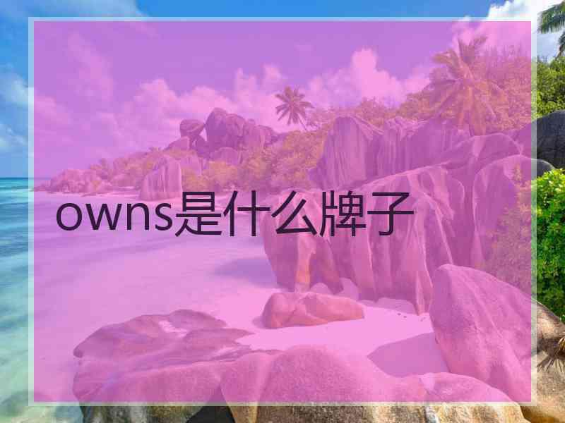 owns是什么牌子