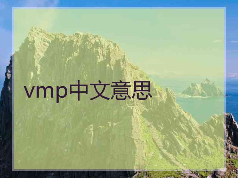 vmp中文意思