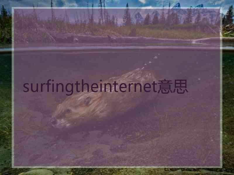 surfingtheinternet意思