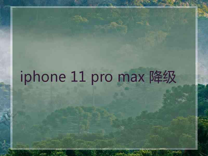 iphone 11 pro max 降级