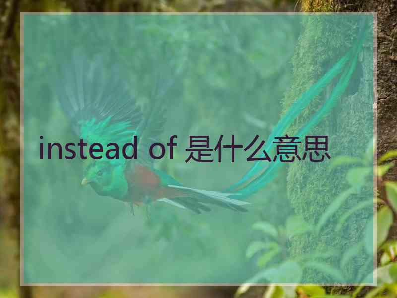 instead of 是什么意思