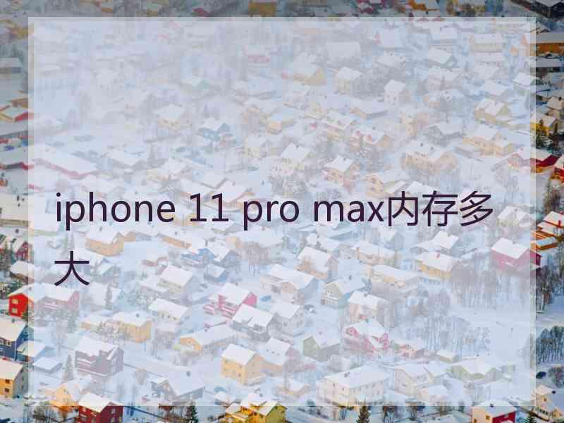 iphone 11 pro max内存多大