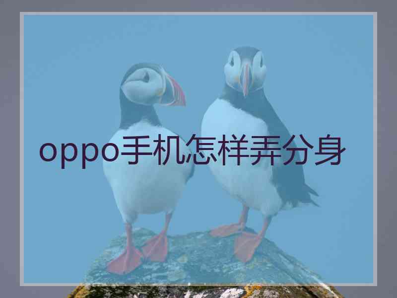 oppo手机怎样弄分身