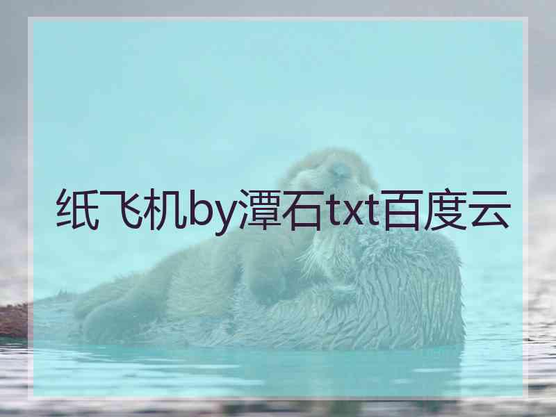 纸飞机by潭石txt百度云