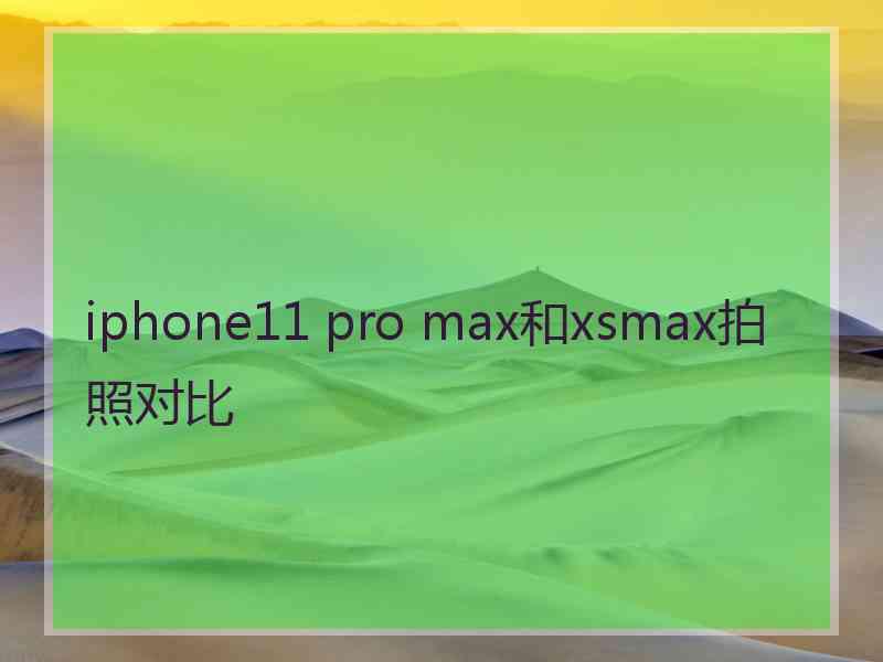 iphone11 pro max和xsmax拍照对比