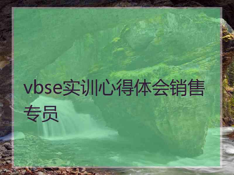 vbse实训心得体会销售专员