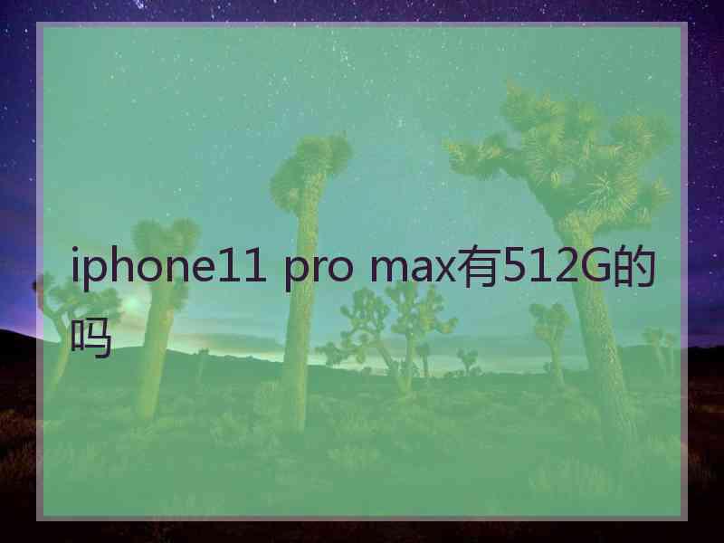 iphone11 pro max有512G的吗