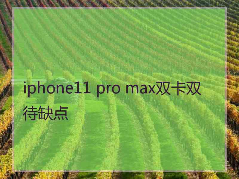 iphone11 pro max双卡双待缺点