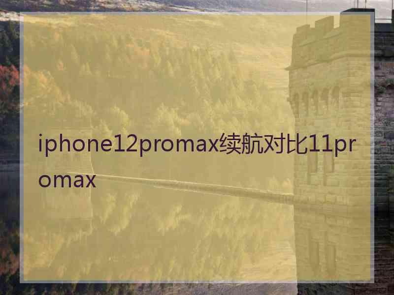 iphone12promax续航对比11promax