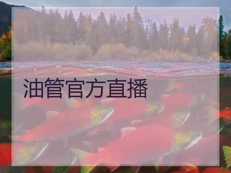 油管官方直播