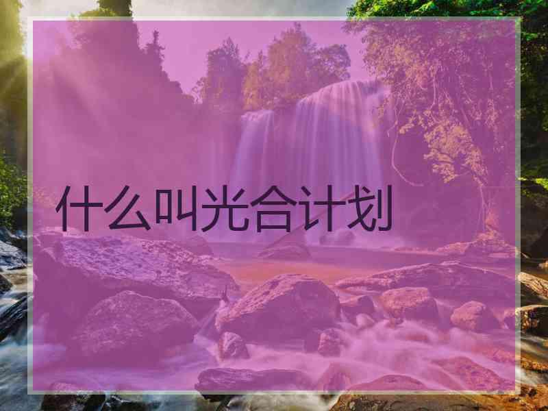 什么叫光合计划