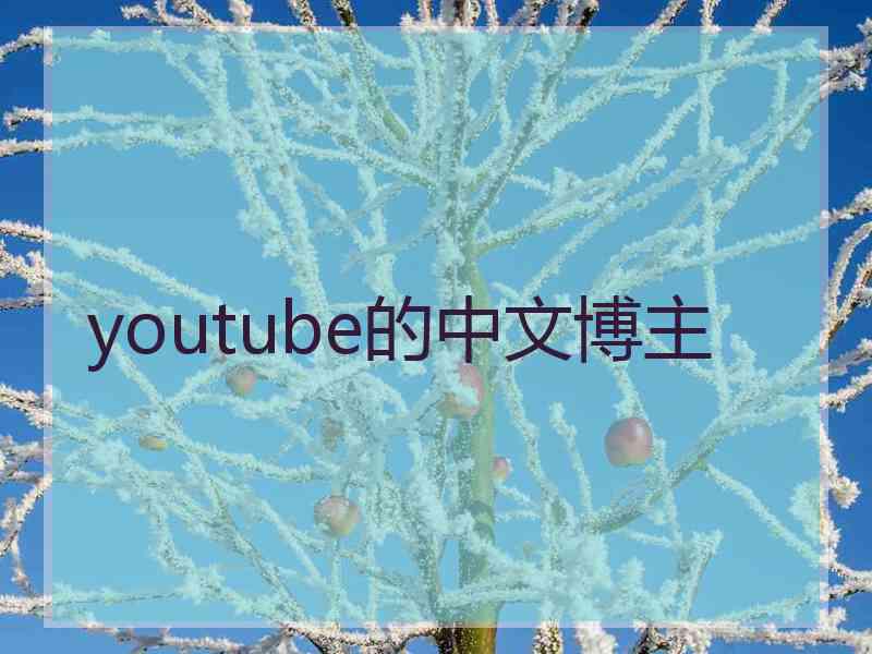 youtube的中文博主