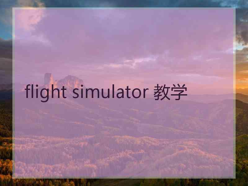 flight simulator 教学