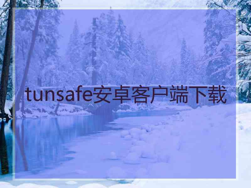 tunsafe安卓客户端下载