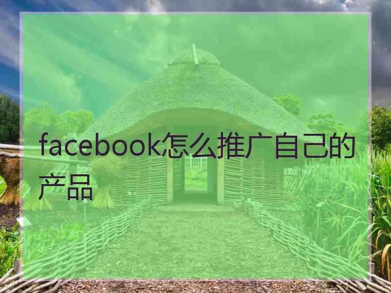 facebook怎么推广自己的产品