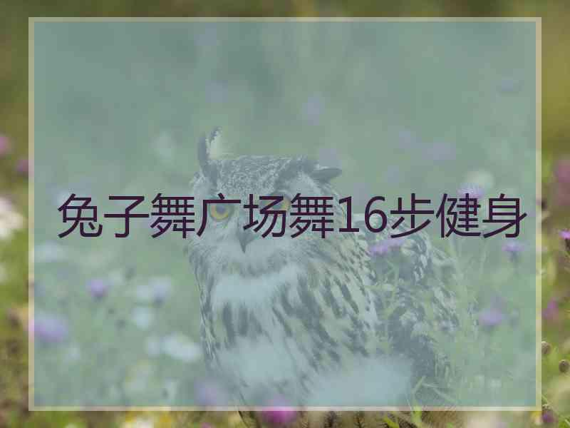 兔子舞广场舞16步健身