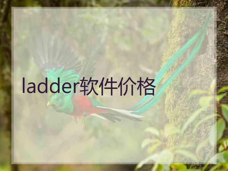 ladder软件价格