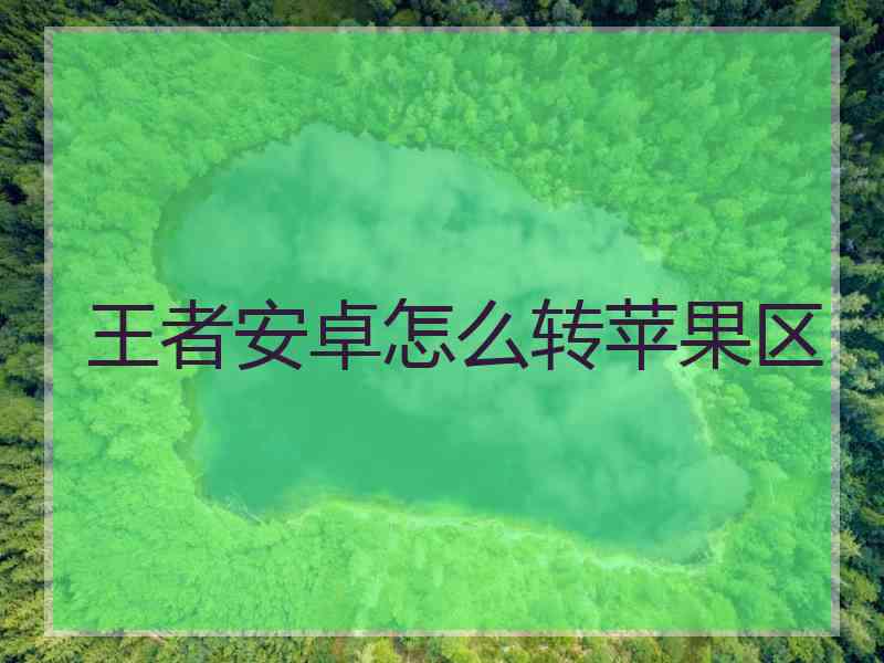 王者安卓怎么转苹果区