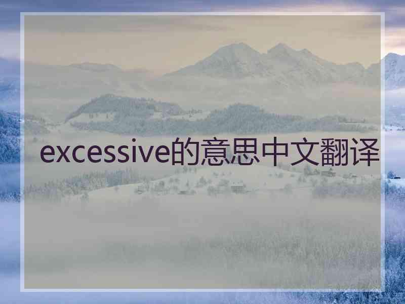 excessive的意思中文翻译