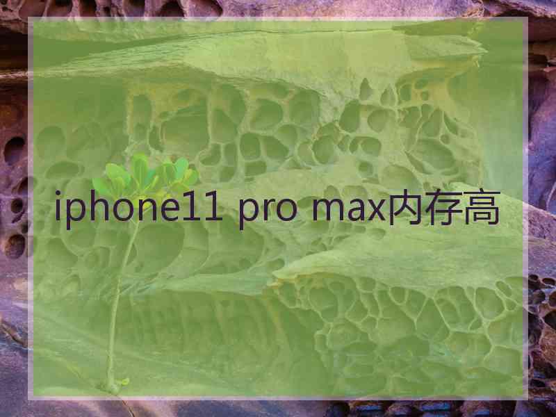 iphone11 pro max内存高