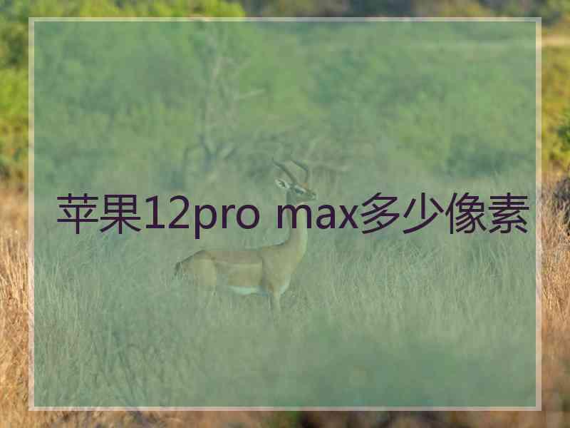 苹果12pro max多少像素