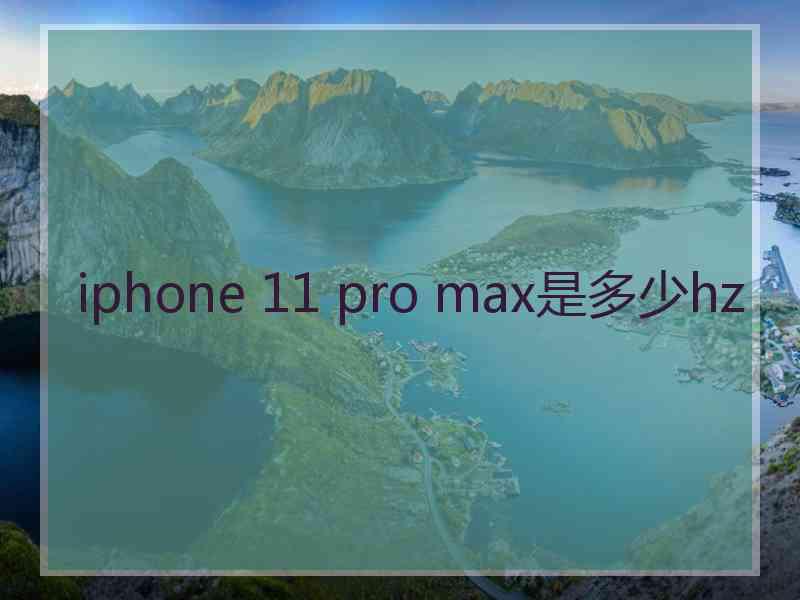 iphone 11 pro max是多少hz