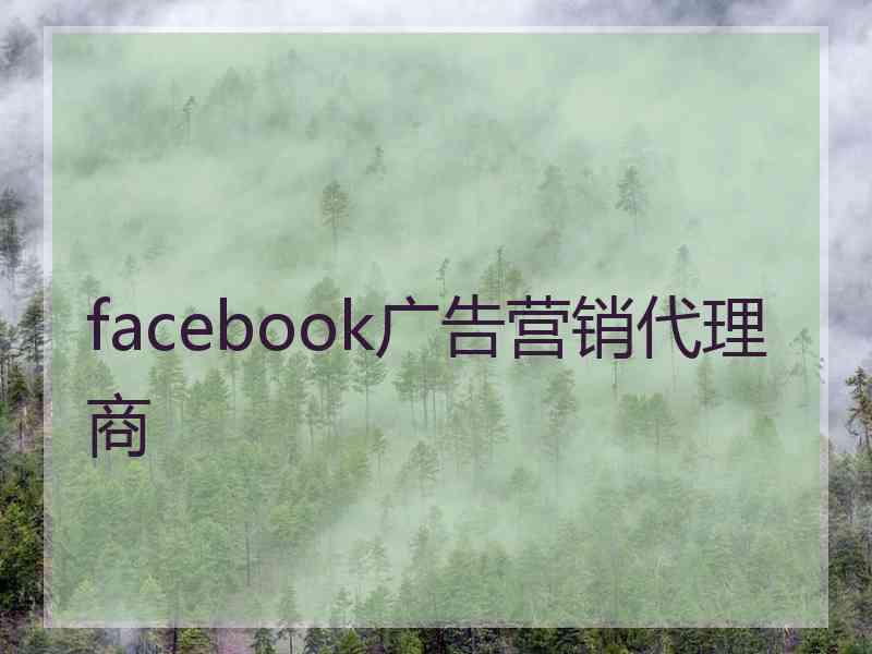 facebook广告营销代理商