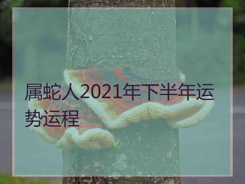 属蛇人2021年下半年运势运程