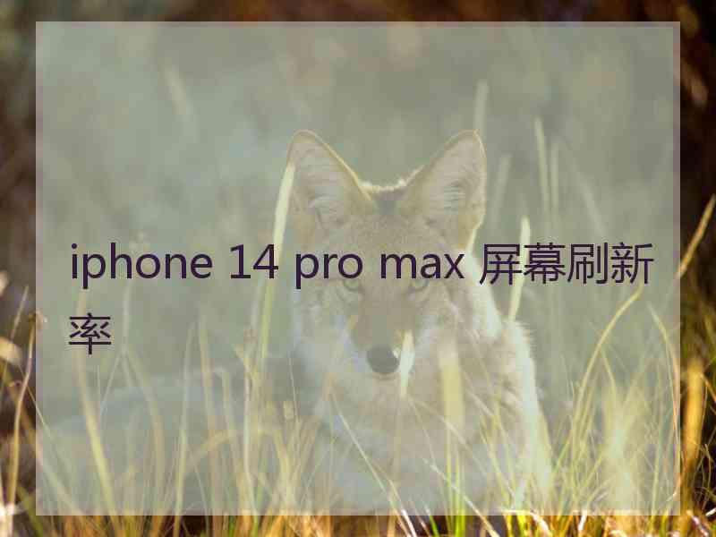 iphone 14 pro max 屏幕刷新率