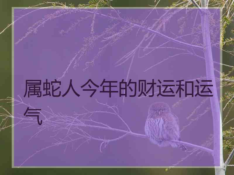 属蛇人今年的财运和运气