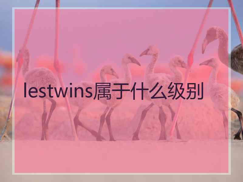 lestwins属于什么级别