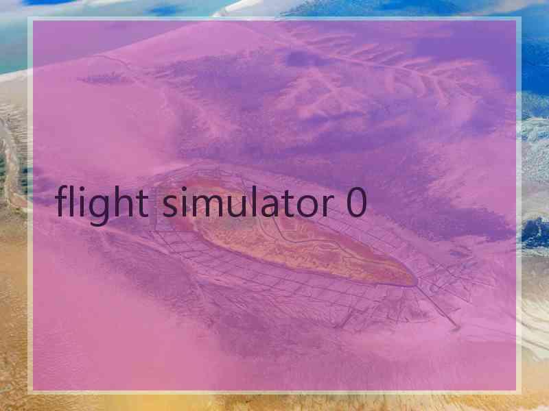 flight simulator 0