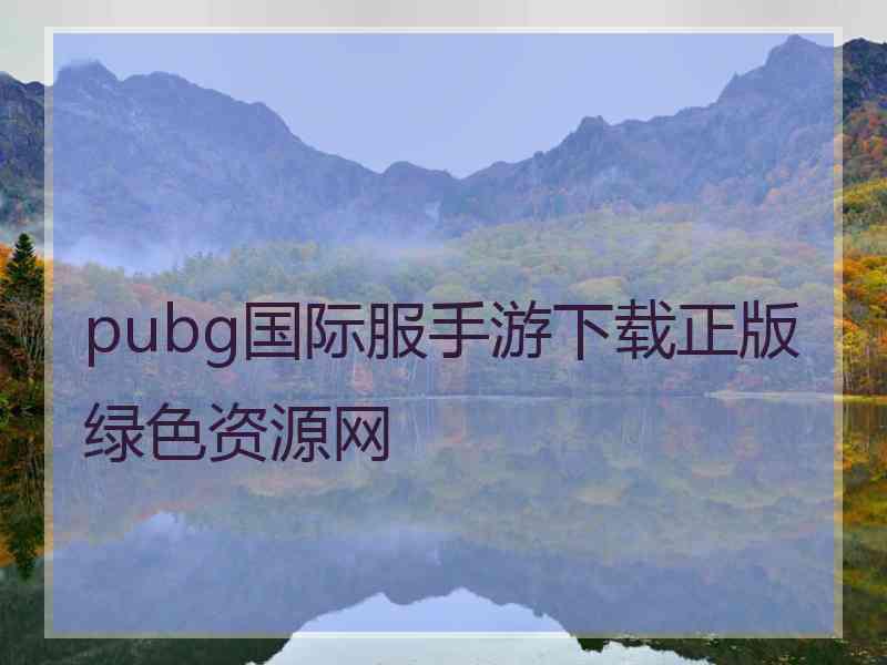 pubg国际服手游下载正版绿色资源网