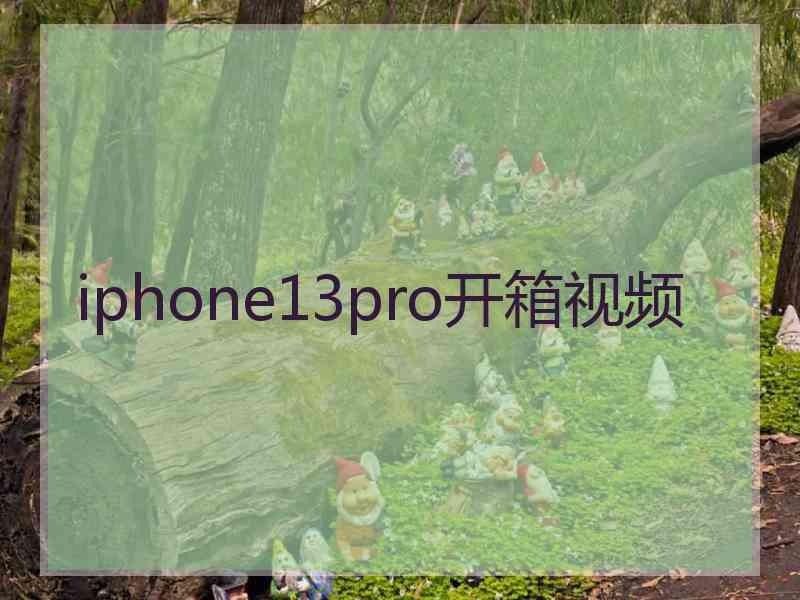 iphone13pro开箱视频