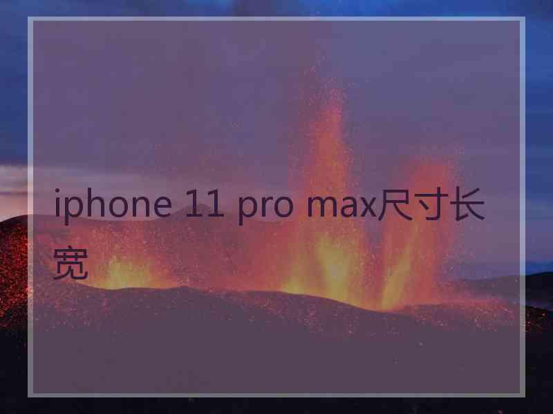 iphone 11 pro max尺寸长宽