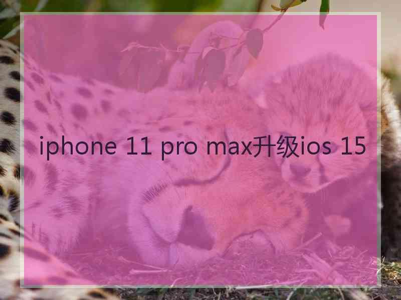 iphone 11 pro max升级ios 15