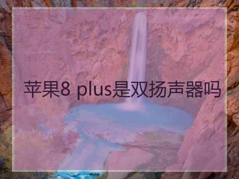 苹果8 plus是双扬声器吗