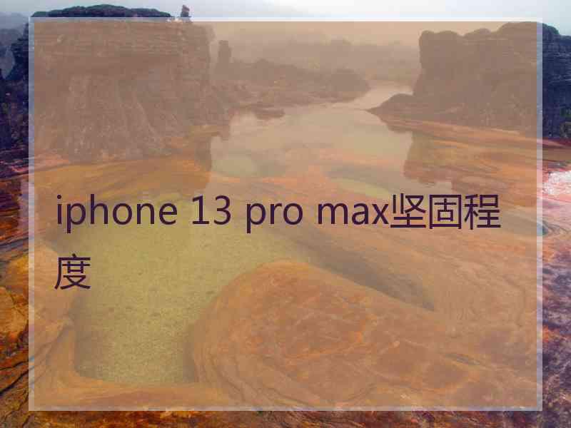 iphone 13 pro max坚固程度