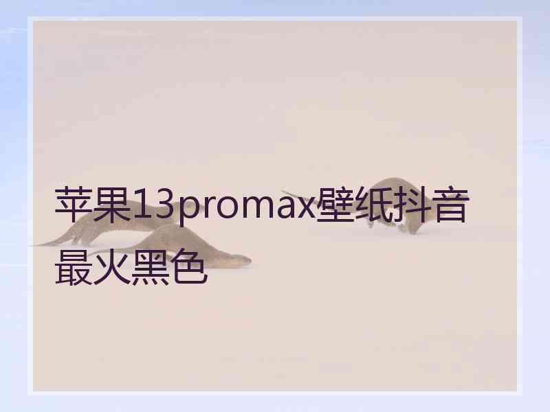 苹果13promax壁纸抖音最火黑色