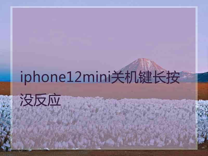 iphone12mini关机键长按没反应