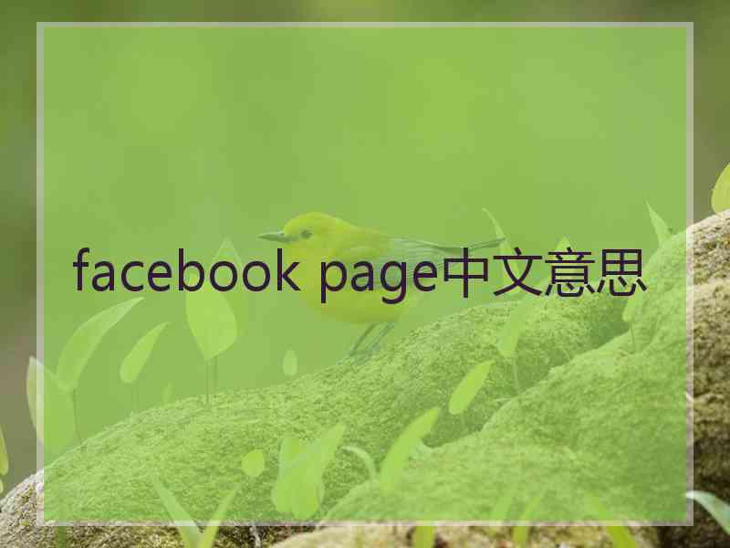 facebook page中文意思