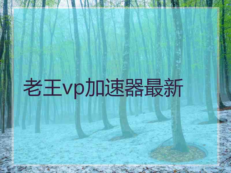 老王vp加速器最新